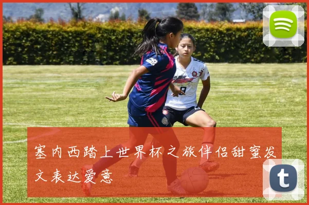 塞内西踏上世界杯之旅伴侣甜蜜发文表达爱意